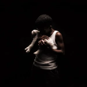 Nandipha808 CAAZA Who Made Who Album 300x300 1.webp.webp
