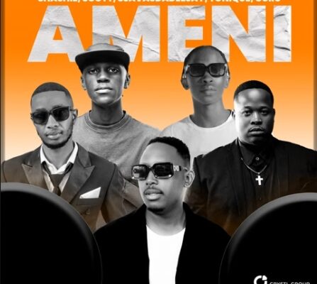 Ameni 447x400.jpg