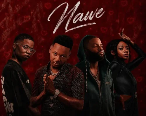 Catzico DJ Veek Nawe feat. Skales Natasha MD 500x400.webp